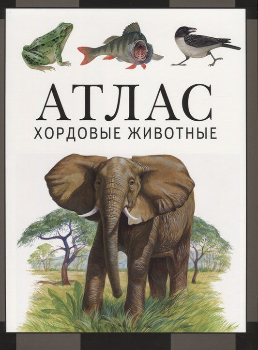 Хордовые животные: атлас (4 изд.)