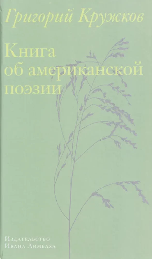 Книга об американской поэзии — Кружков