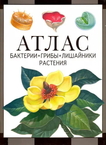 Бактерии, грибы, лишайники, растения: атлас. 4-е изд