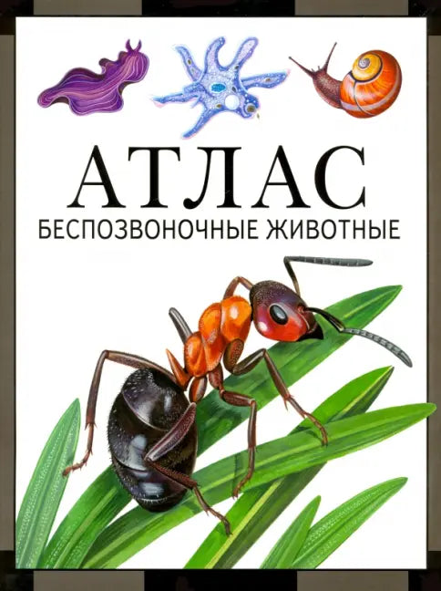 Атлас. Беспозвоночные животные. — Дольник Виктор Рафаэльевич,Козлов Михаил Алексеевич