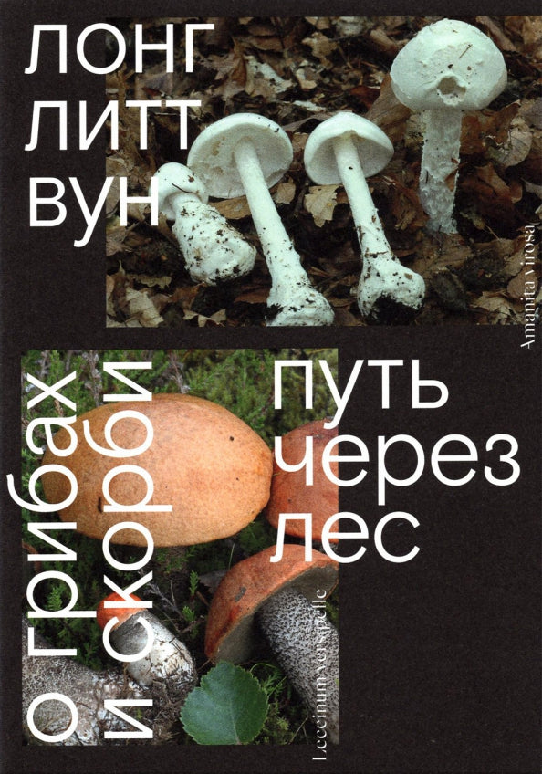 Путь через лес — Лонг Литт Вун