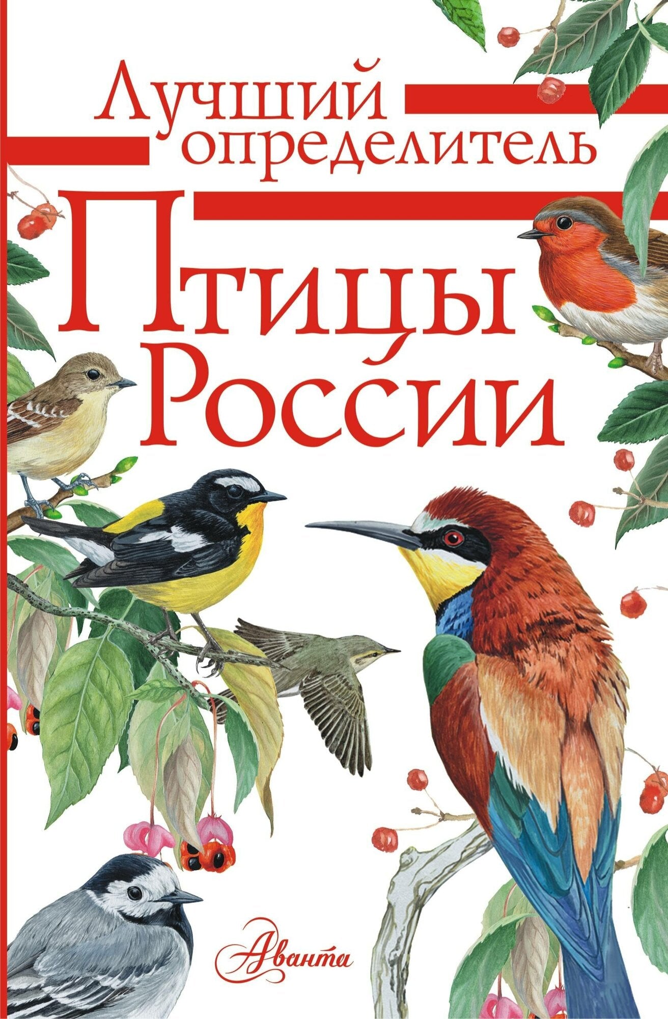 Птицы России — Мосалов, Волцит