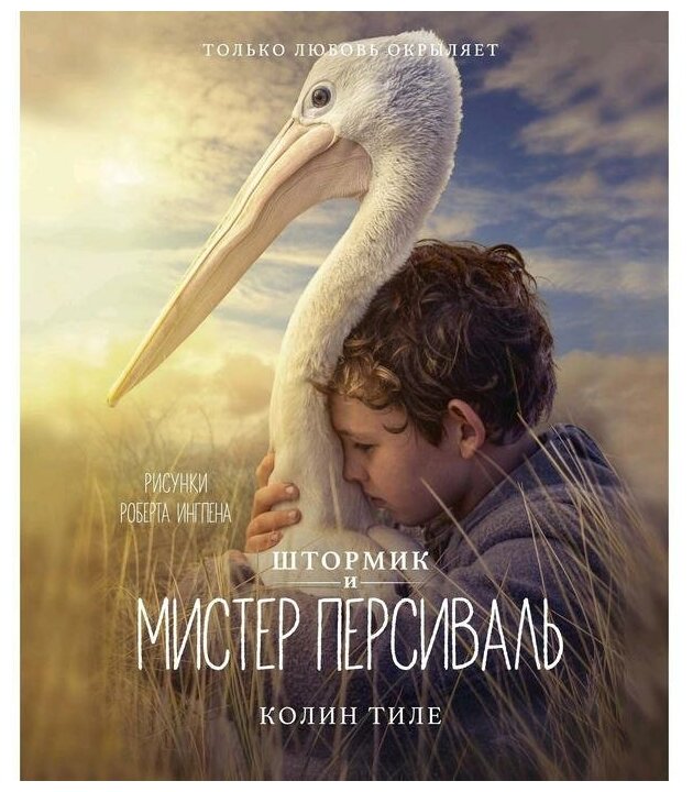 Штормик и мистер Персиваль (илл. Р.Ингпена)