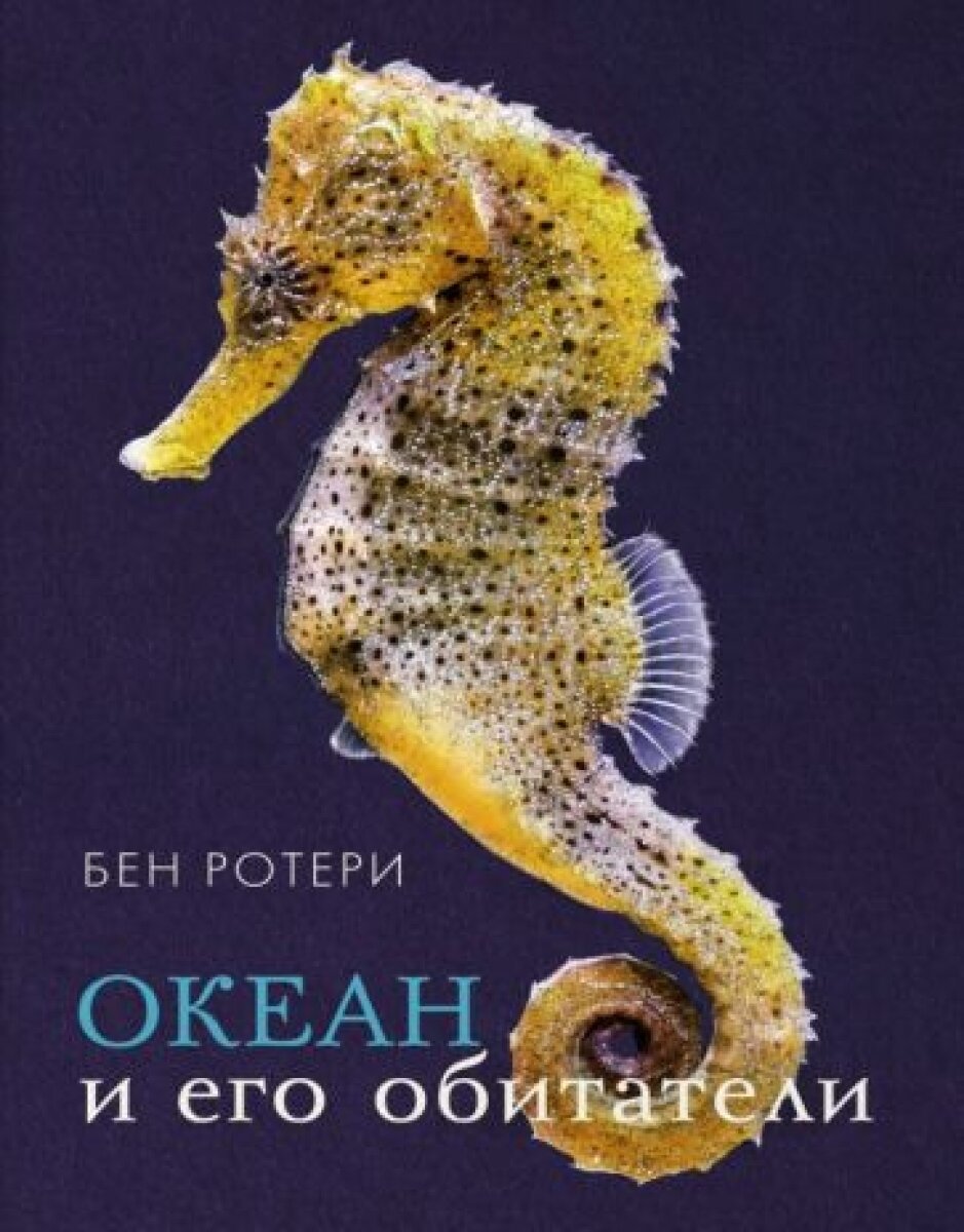 Океан и его обитатели — Ротери