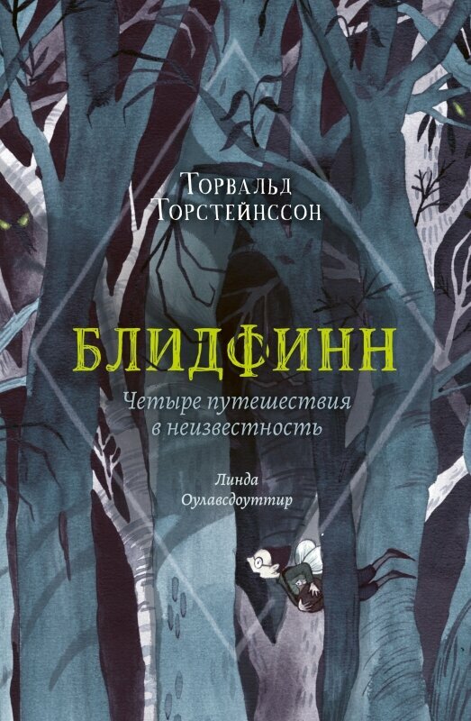 Блидфинн. Четыре путешествия в неизвестность — Торвальд Торстейнссон