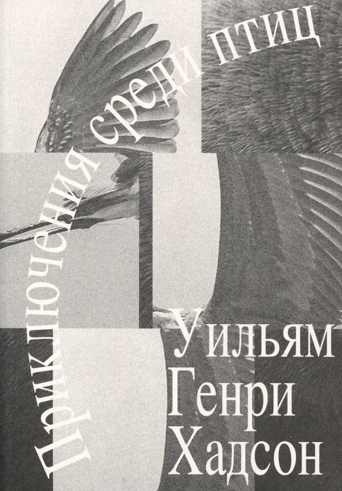 Приключения среди птиц