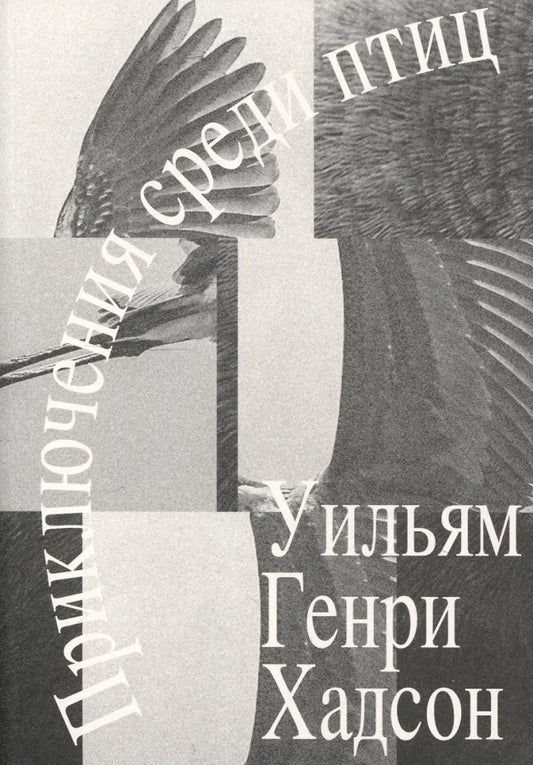 Приключения среди птиц