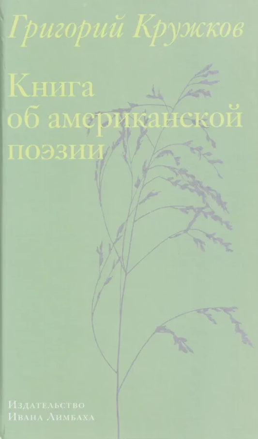 Книга об американской поэзии — Кружков