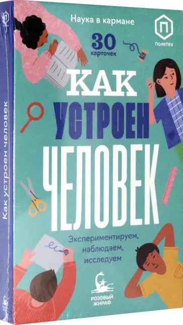 Набор детских развивающих карточек «Как устроен человек»