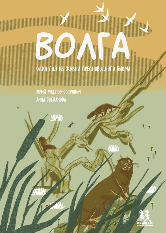 Волга: один год из жизни пресноводного биома — Юрий Маслов-Острович