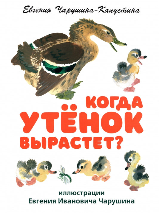 Когда утёнок вырастет? 