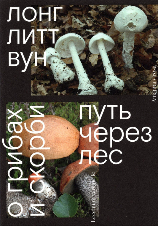 Путь через лес — Лонг Литт Вун