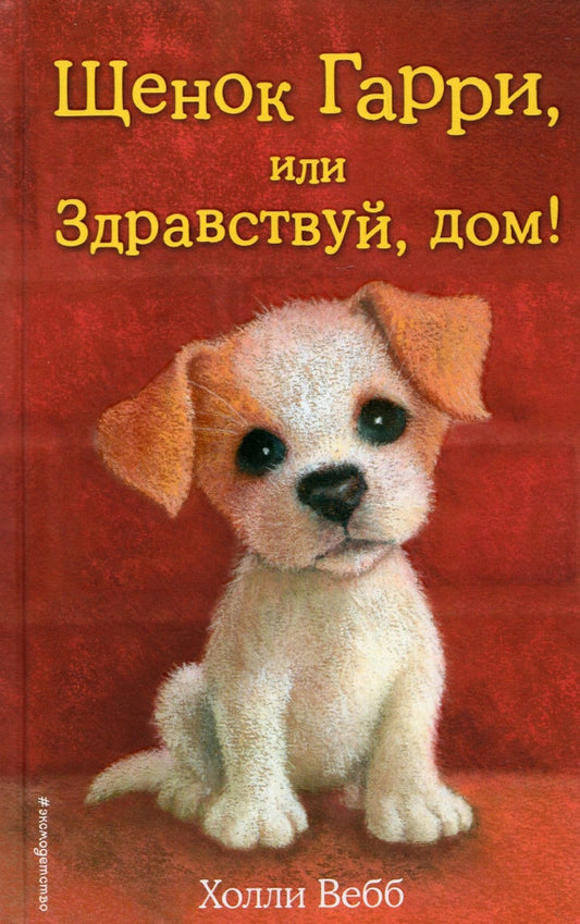 Щенок Гарри, или Здравствуй, дом! — Холли Вебб