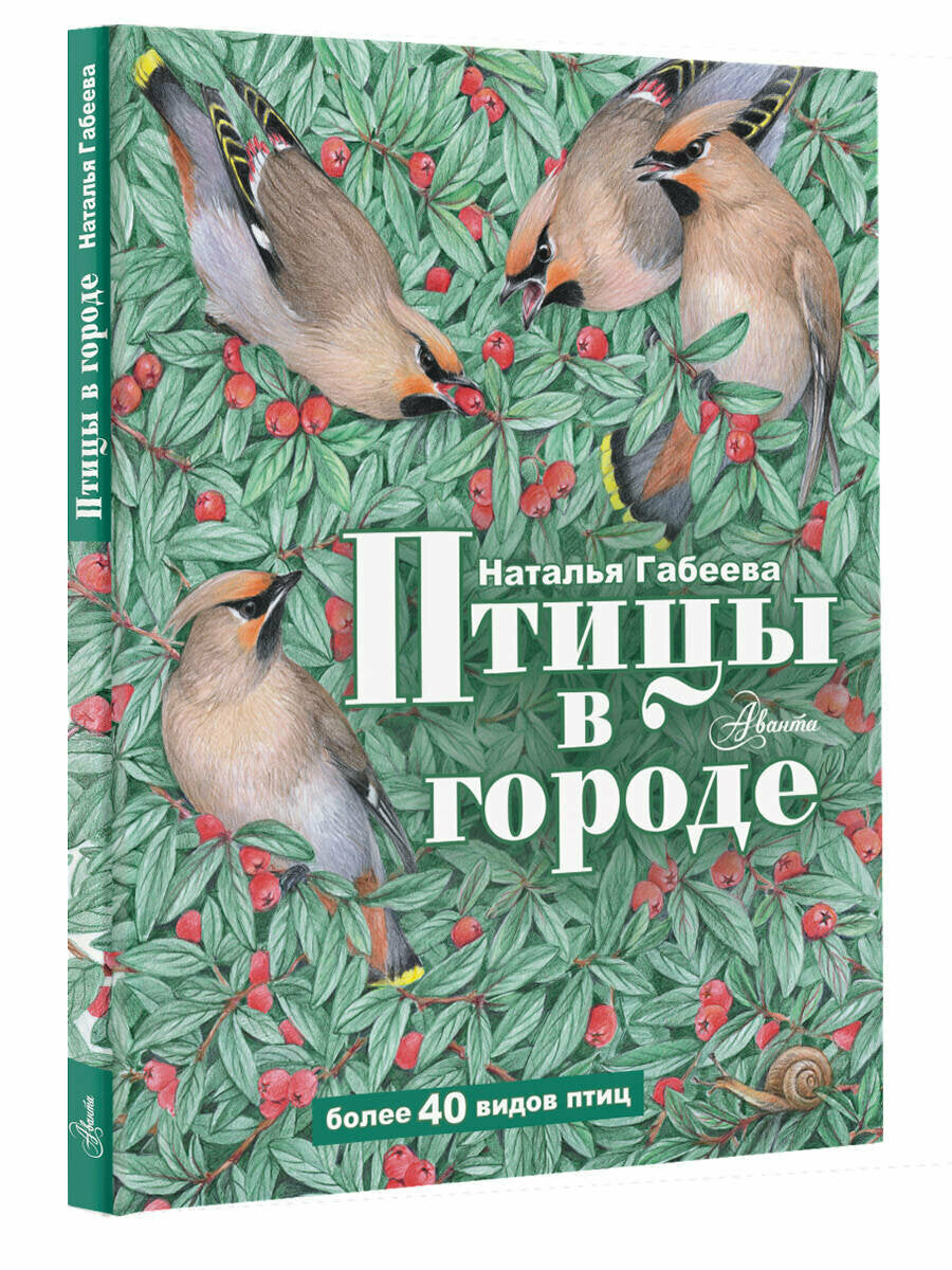 Птицы в городе — Наталья Габеева