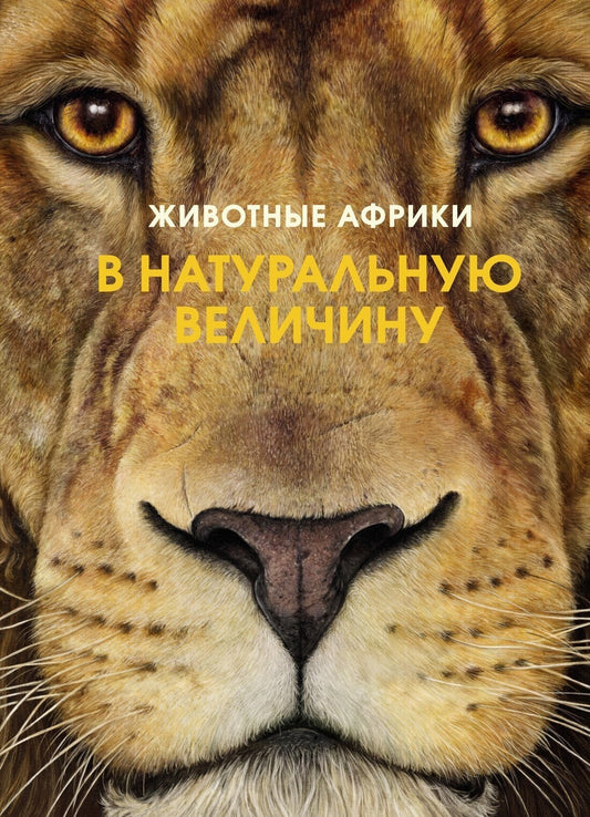 Животные Африки в натуральную величину — Хааг