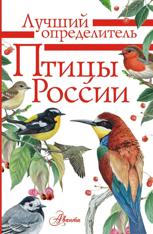 Птицы России — Мосалов, Волцит