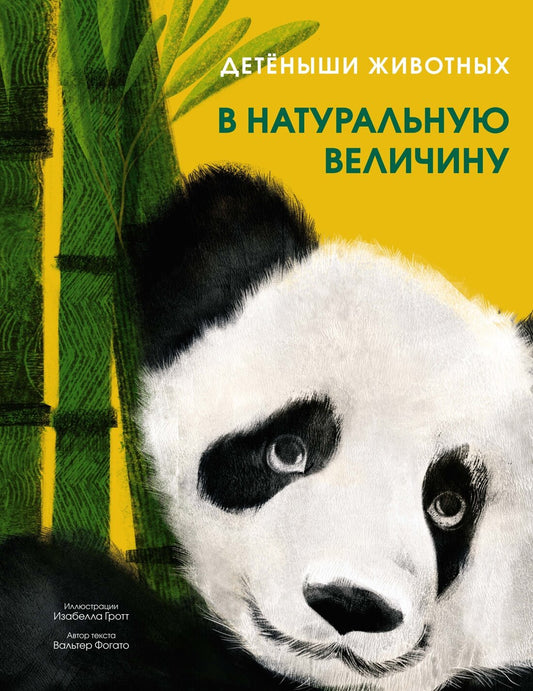 Детёныши животных в натуральную величину — Фогато