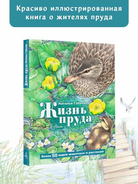 Жизнь пруда — Наталья Габеева