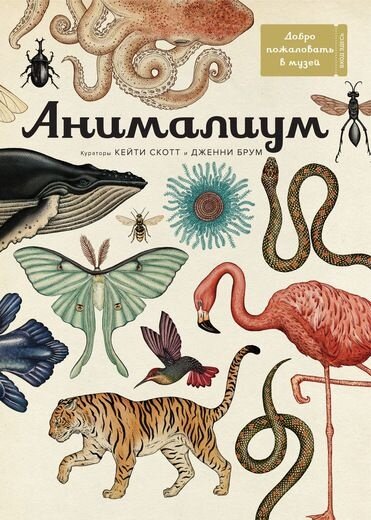 Анималиум — Брум