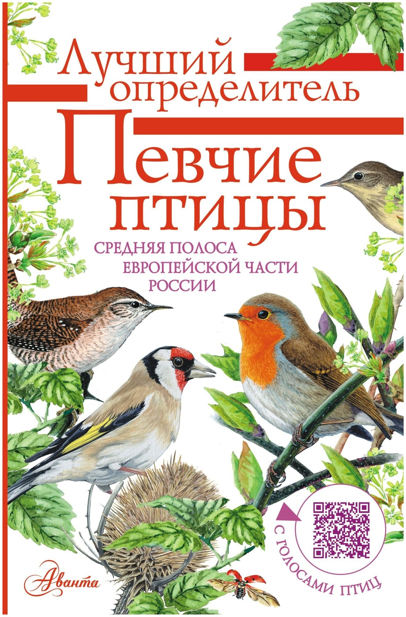 Певчие птицы. Средняя полоса европейской части России. Определитель с голосами птиц — Коблик Евгений Александрович, Архипов Владимир Юрьевич