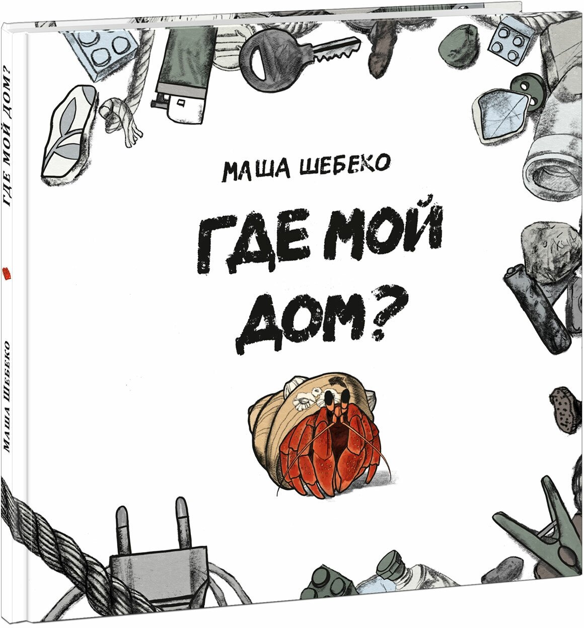 Где мой дом?