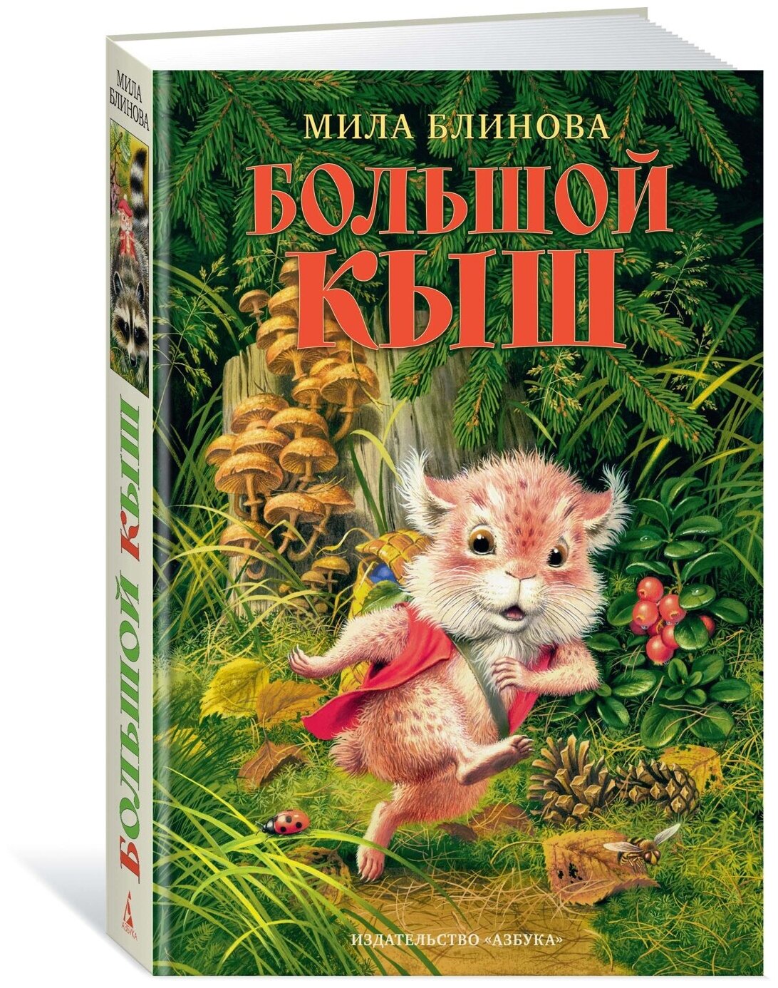 Большой Кыш — Блинова
