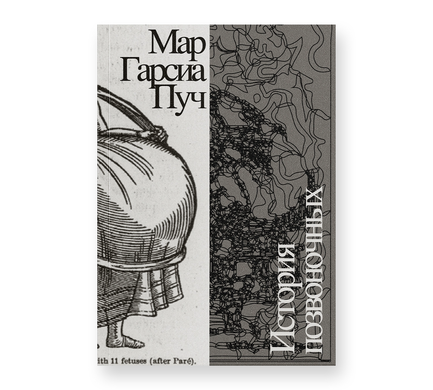 История позвоночных — Мар Гарсиа Пуч